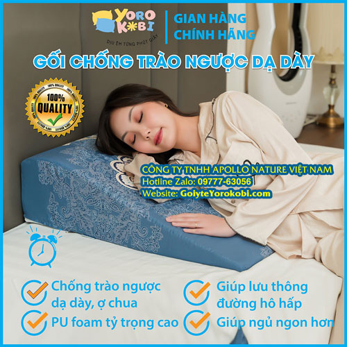 goi-chong-trao-nguoc-da-day-yorokobi-3